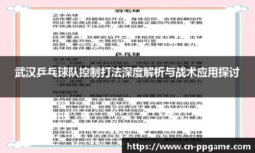 PP电子模拟器